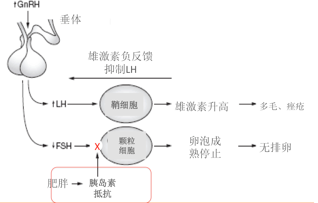 1505954686515810.png b1.png