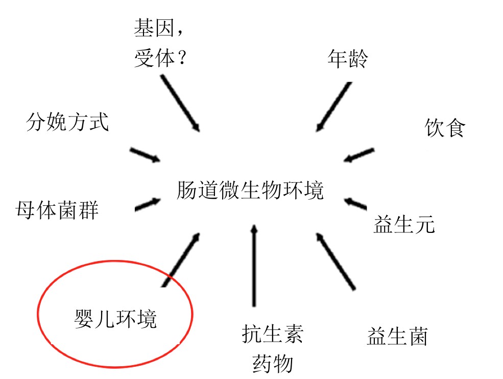 e2.jpg
