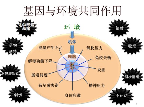 基因与环境1.jpg