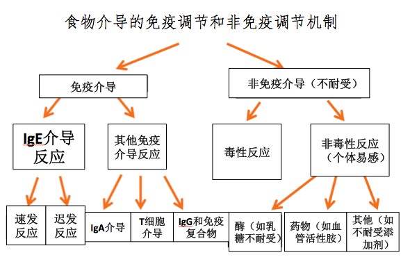 过敏1.jpg