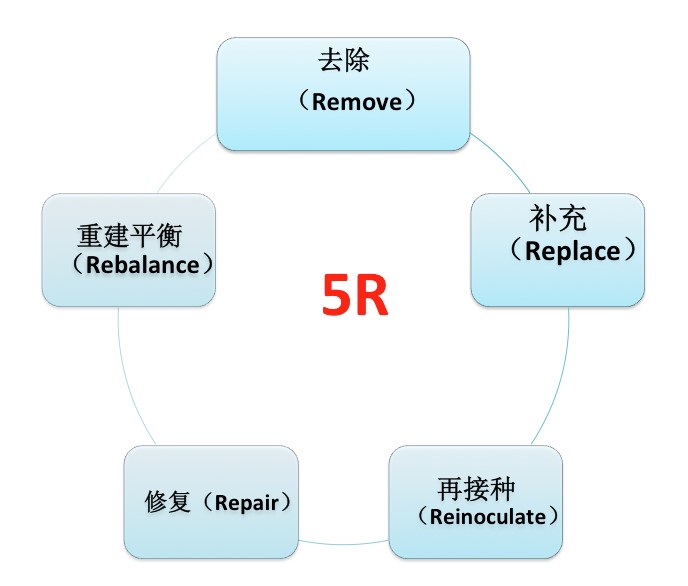过敏5.jpg