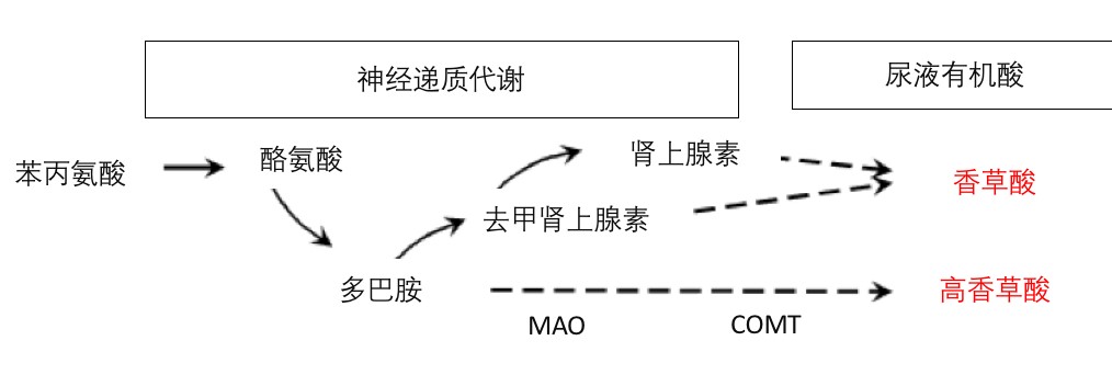 102.jpg
