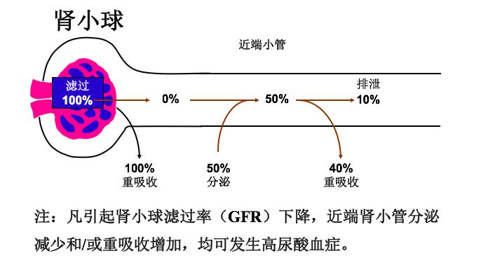 a5.jpg