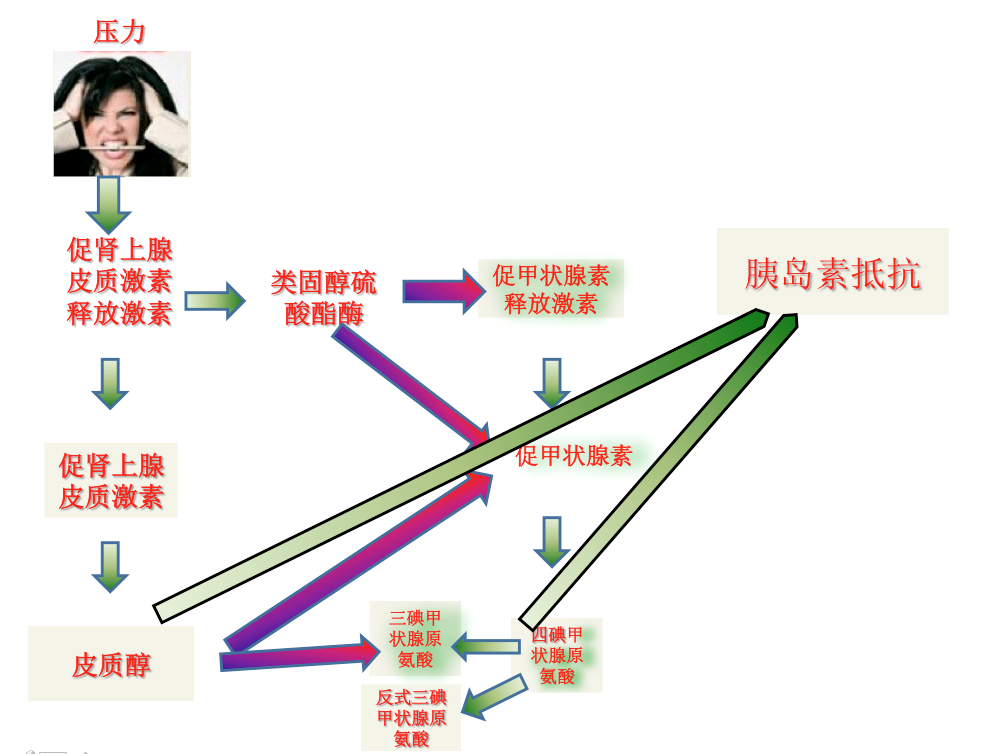 糖尿病1.png