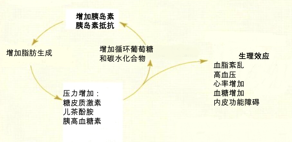 糖尿病2.png
