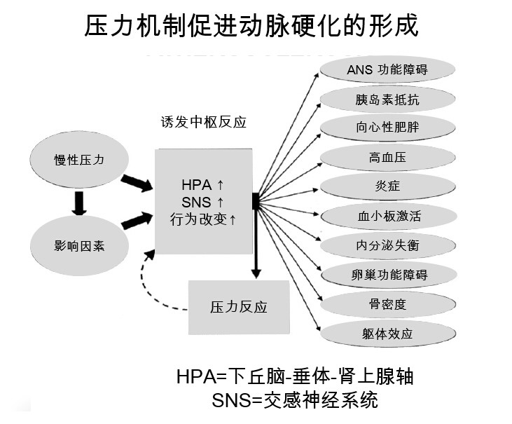 j6.jpg